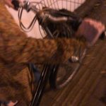 池袋駅でナンパ。２９歳広報キャリアウーマンを持ち帰り